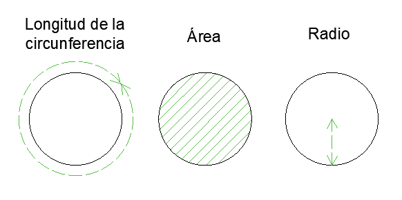 Circunferencia, area y radio